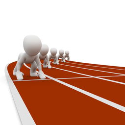 开云官方网-体育赛事市场发展趋势分析与对策，体育赛事市场发展趋势分析与对策论文